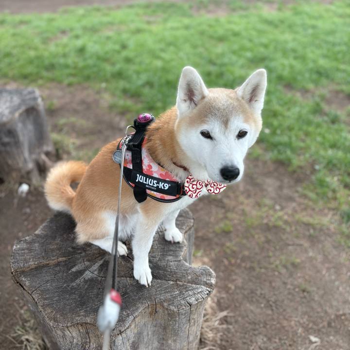 C11d8143 a051 4b51 8b78 d93f31b16043 1758171434128