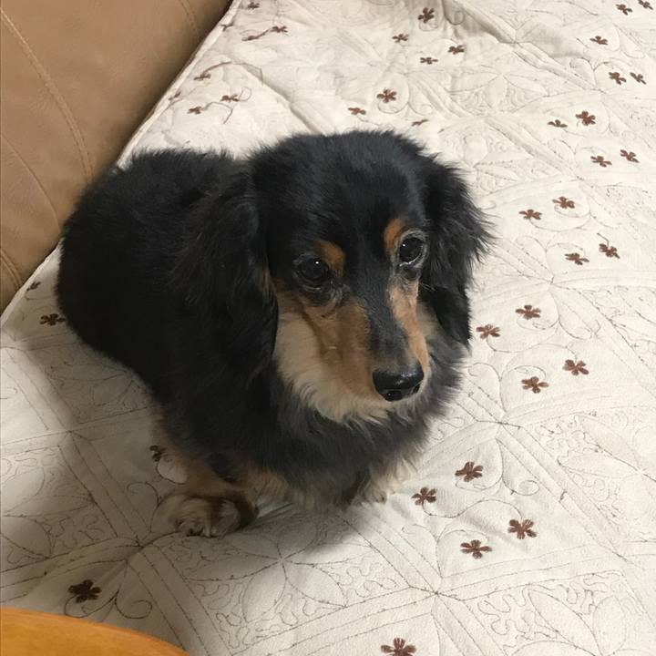 C11d8ce2 b084 44c2 af87 436e19fe2e6a 1515189381200