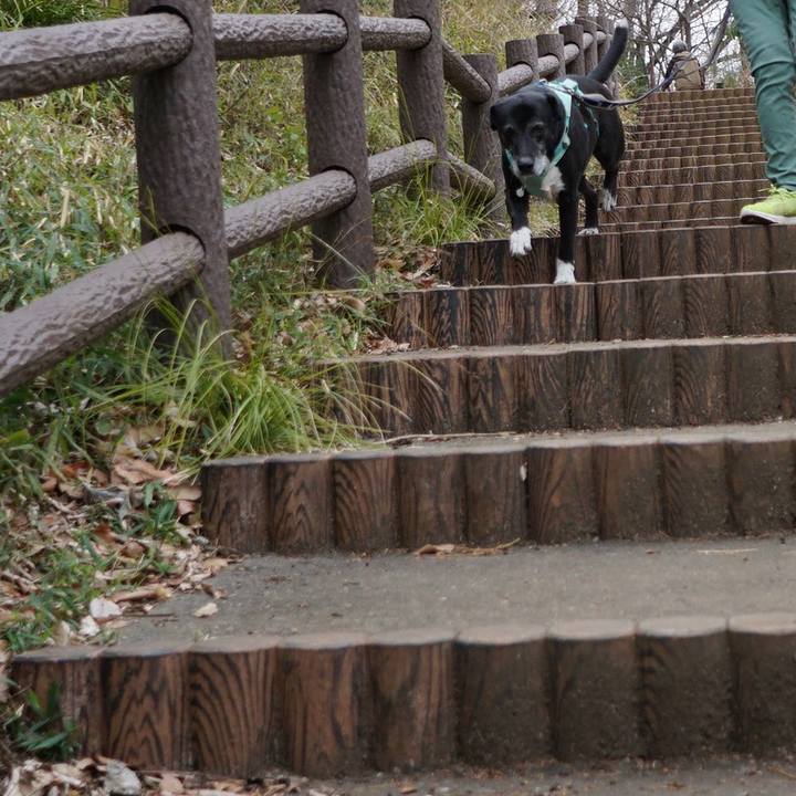 C11dbf35 2a8a 4b66 b8a6 02d02a3f9b63 1773709358621