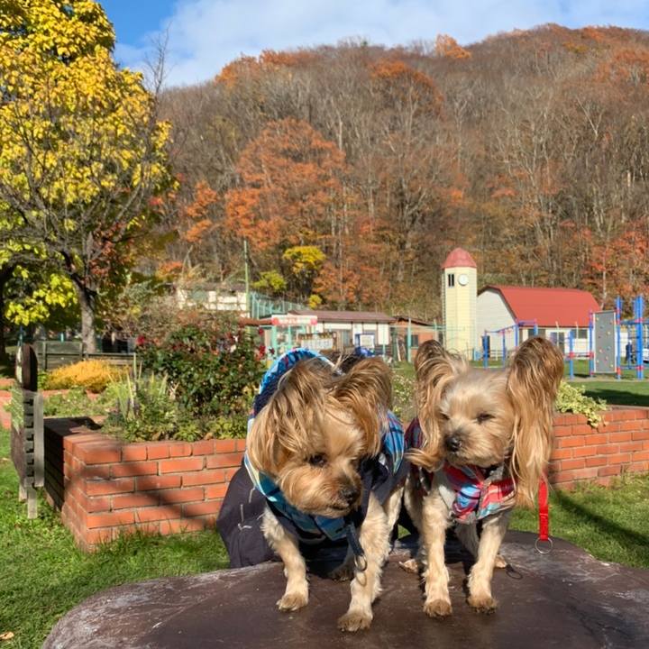 C11dd168 eec3 4c19 bf0e fde607859248 1636536660425