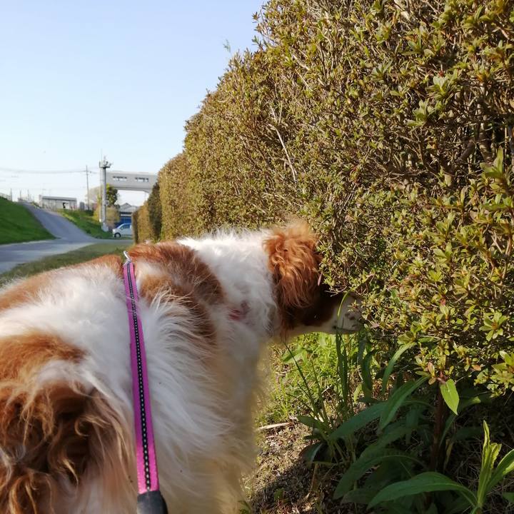 C11de119 2fbe 47a2 aba4 b9c2d2cadac3 1586171735212