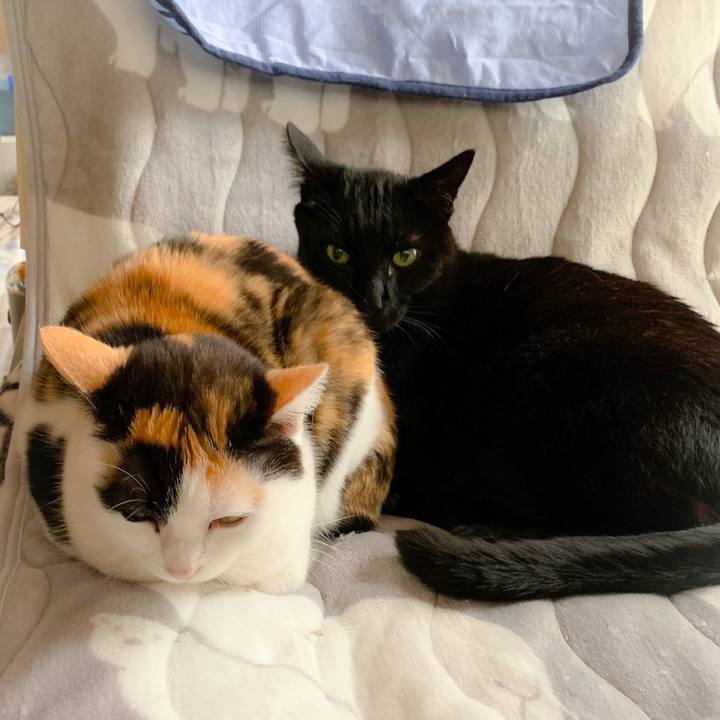 C11de352 cf2a 47f9 af18 fcaf9cee8e04 1560307512858