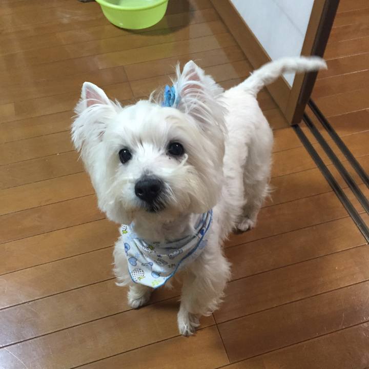 C11e69ce 563c 4123 b20b e112294dd28e 1516624034538