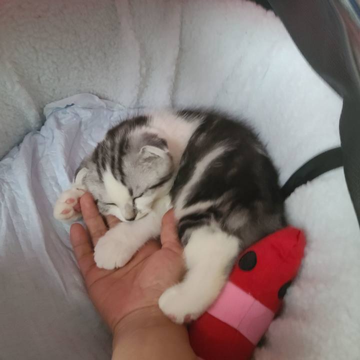 C11ee6be 494a 4c0d bbf2 6f1cba64f6ef 1625778924298