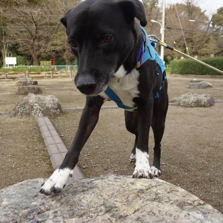 C11ef82e 20e4 493d 9499 59a47af60ead 1635121968521