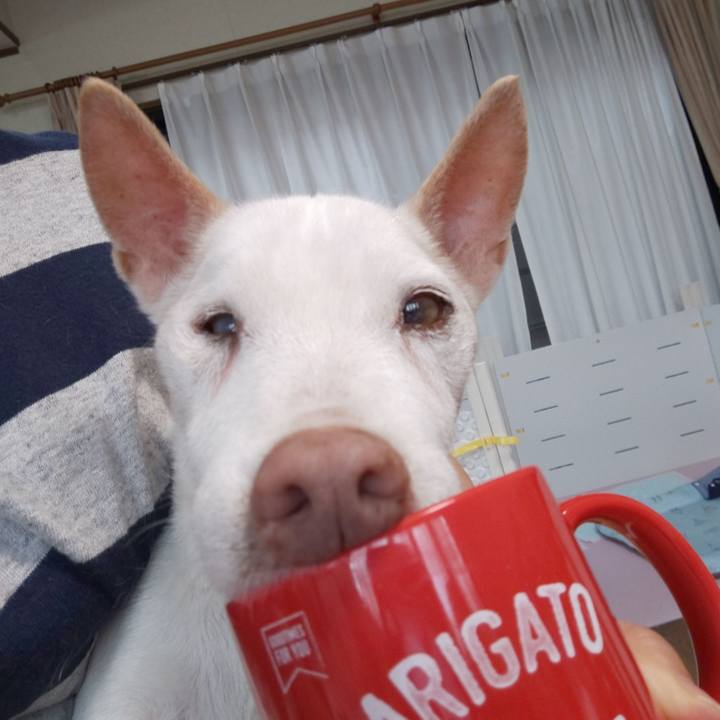 C11f31e1 80fe 42a6 998a 465d57fbb276 1563230052901