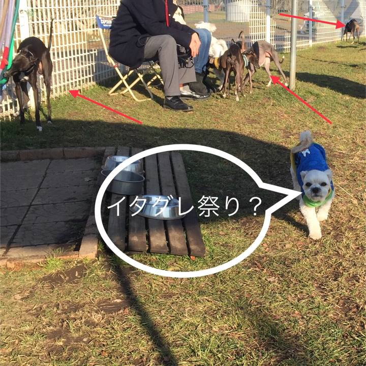 C11f37ac 44c8 4bf9 b341 edec7c2e740c 1514024259467