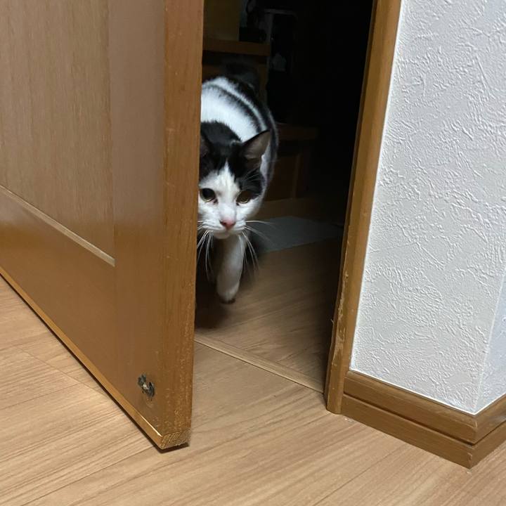 C11f5273 1674 4259 ae6e 3df1d590d177 1579951529965