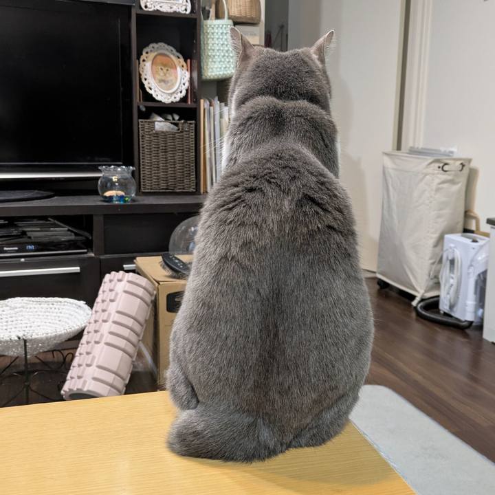 C11f595c 000d 469f a562 86fcdc3efc2c 1744188472125