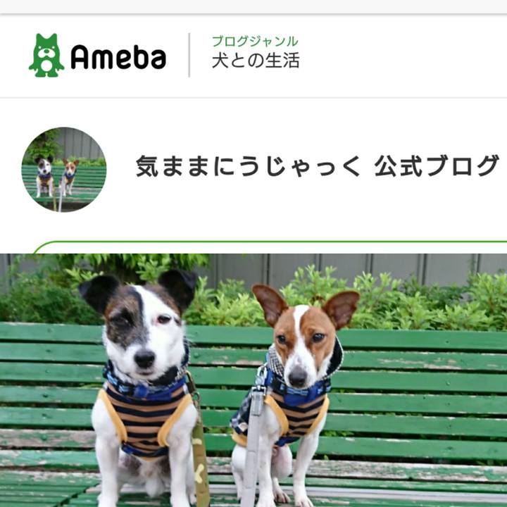 C11fa2ee 6efb 4214 989d 1357e886b944 1530483466736