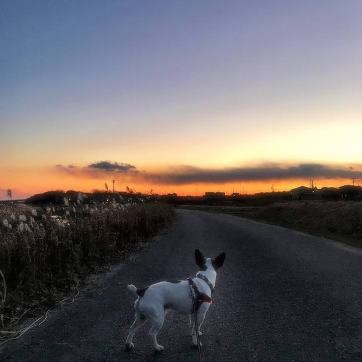 C11fa423 e99b 48a6 b299 2d8e816ac4d7 1515761044789