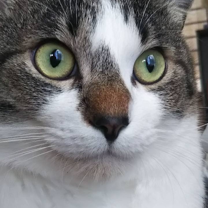 C11fbd80 5725 4a13 a859 cf67f6add946 1607663594951