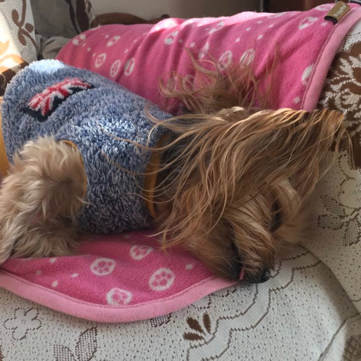 C11fe61e 6586 4cc0 a57c 33bcc631d404 1550103766226