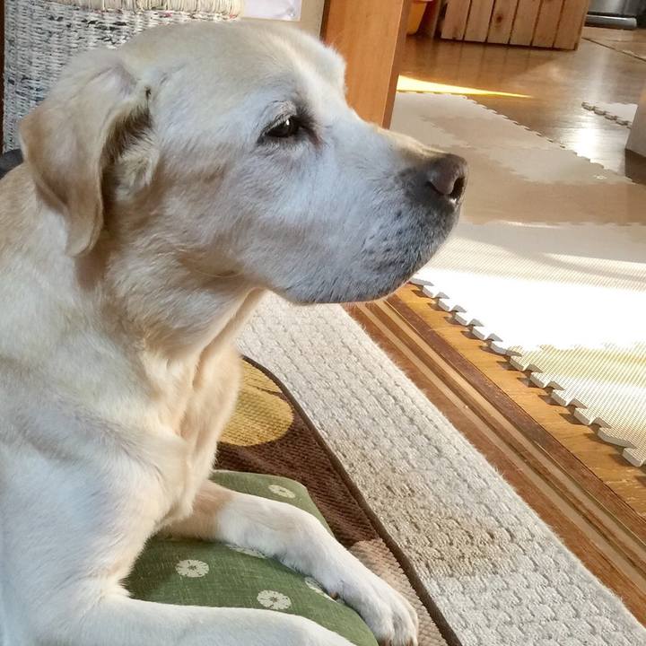 C1204761 70d1 4dff 92da 3c99b88a8654 1550662231701