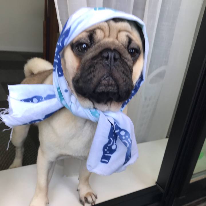 C1205eae 368a 419a b6c2 f687e0084279 1565311442167