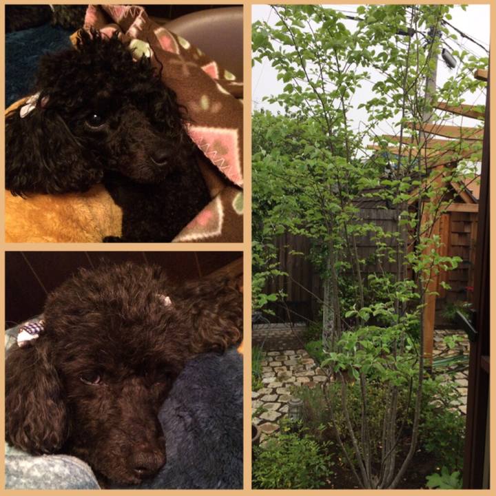 C120a210 c94b 419e 8fa7 c3ce26fb3eba 1556621193942