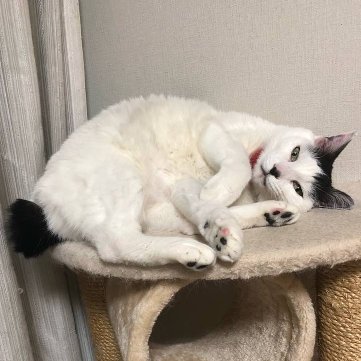 C12118c4 aa72 41d4 965d 4f3c4bf8a07c 1554816102805