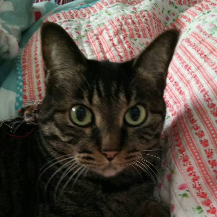 C1212478 97c5 4c8b b550 cb6883bf4c33 1524239002147