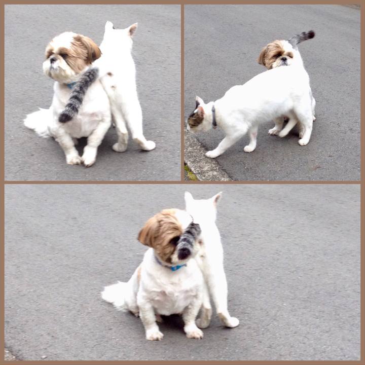 C121458d e8f0 401a 85f5 34add3e58fda 1569649391951