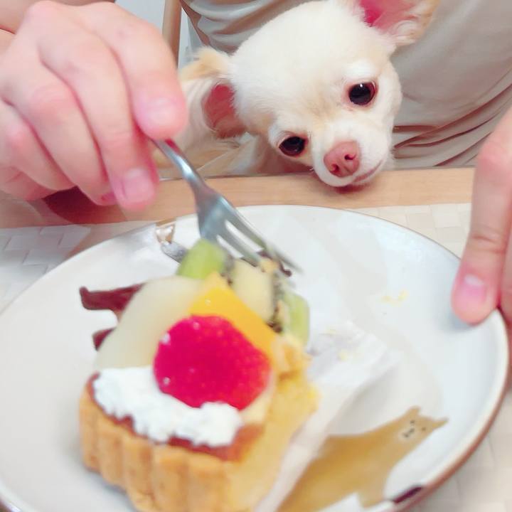 C121610f 4ab4 44bc ab37 37a39f4556b3 1686291318585