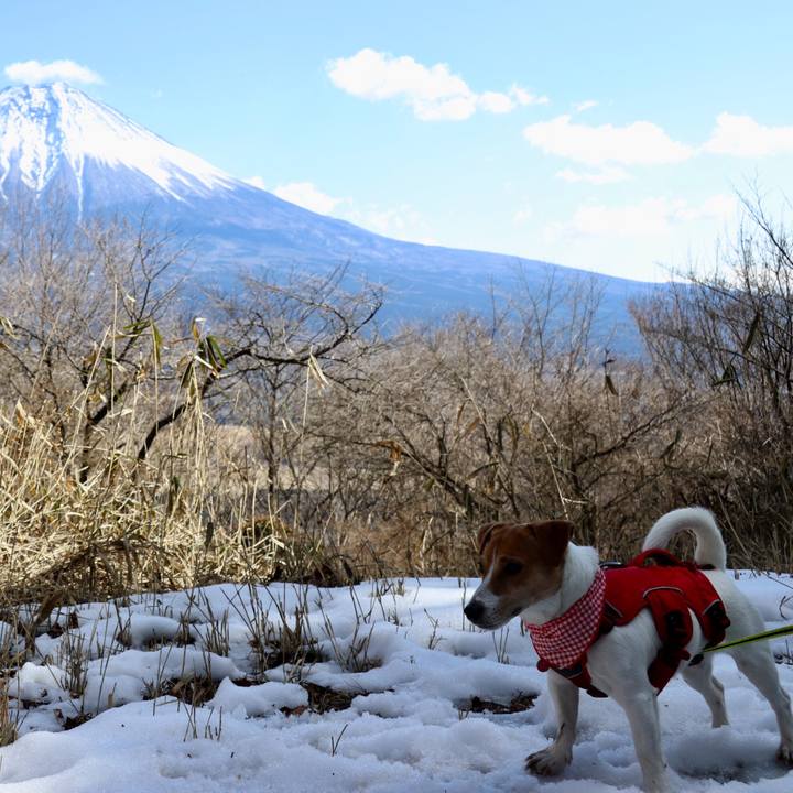 C121a296 3ad9 4fbd 9eb8 5dc651ca380e 1518863163353