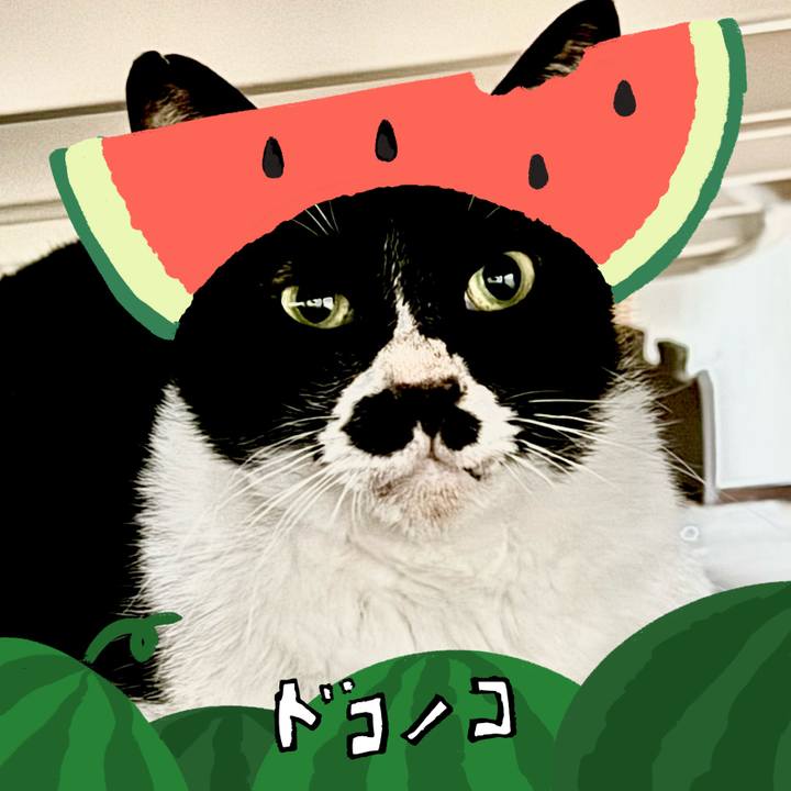 C121cf66 40de 4102 9694 fff49b64119c 1720832193227