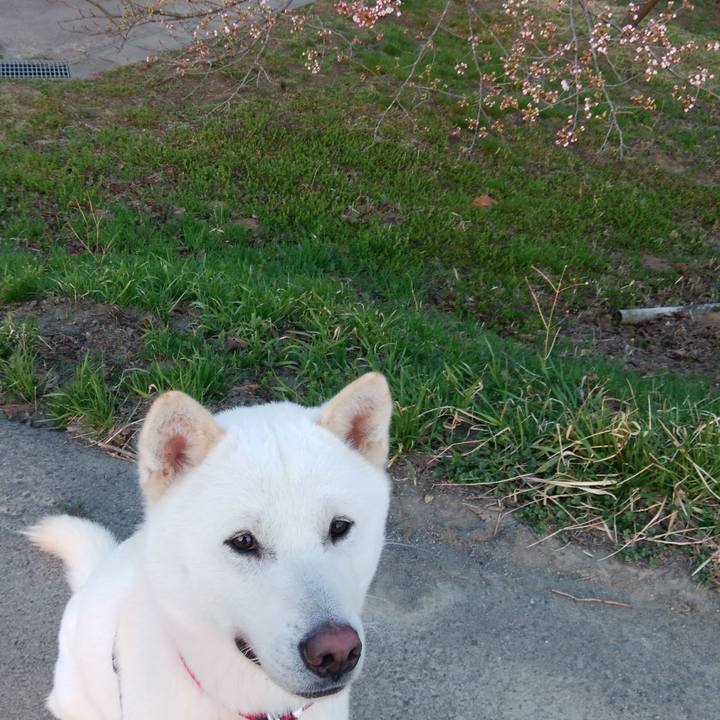 C121d679 cf3b 4ecd 85d3 fa446dbe1491 1522619363252