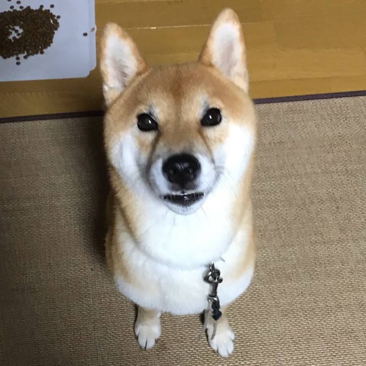 C121e6fc 3503 4438 82ff e70f71c880c6 1564310293148