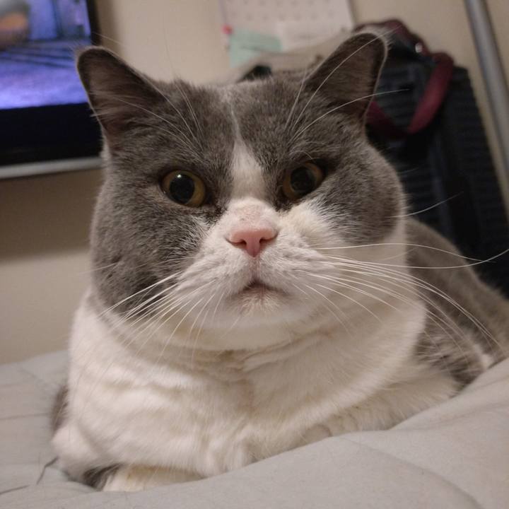 C12253d1 4598 4330 871f 8371243afcc3 1768144491384