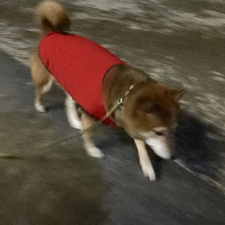 C1228147 4ab1 49cc 96d1 45192816c5c6 1575450339178