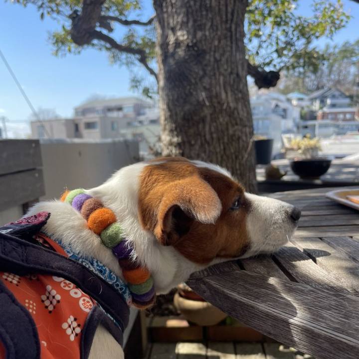 C122841b 3cd0 4b3d a505 485d49f6371f 1711148210700