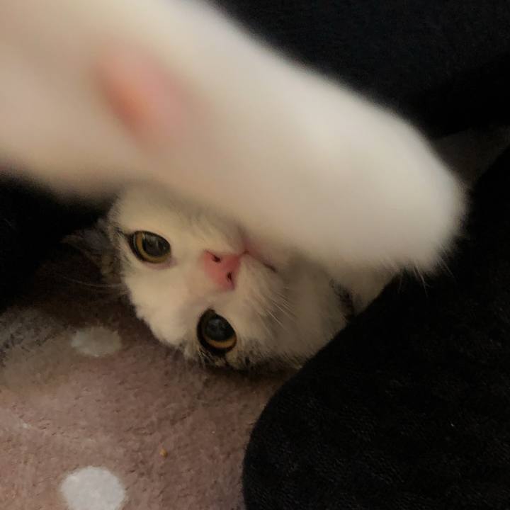 C122a8a8 b286 4572 aed3 6e533f79dfd7 1574206501233