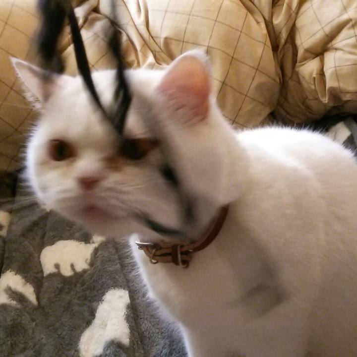 C122af6b 1012 4feb aaad c2962bc61985 1516144424152