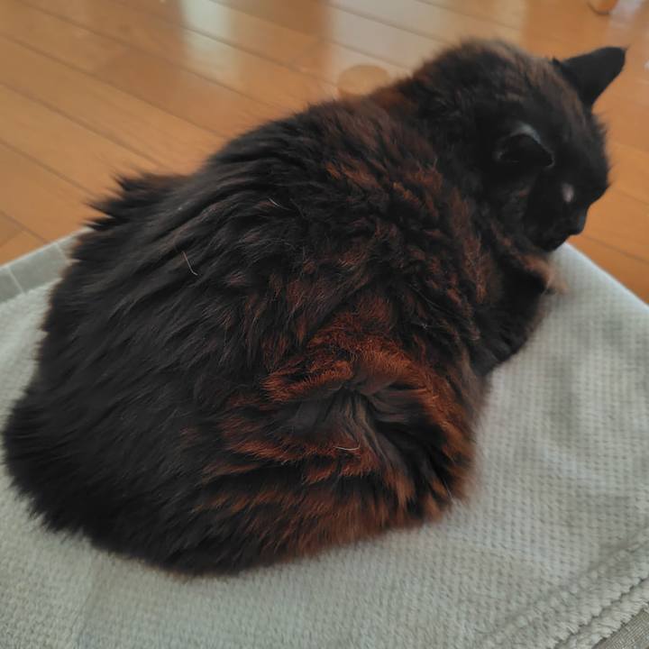 C122e3c5 8519 49b3 b28a 5671a5b74f12 1743468449457