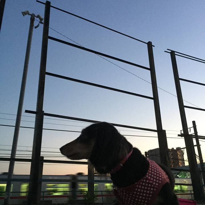 C122ef43 4afc 47b4 b124 f896a3c135b3 1539079082910