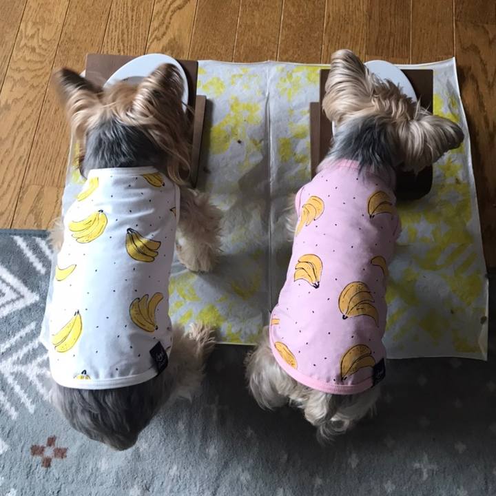 C1230f8d 4bce 4b85 a77a b04cf28d4268 1590577207327