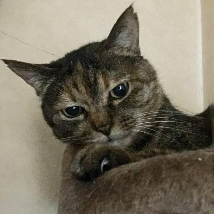 C12328e7 3f45 43f6 aecf a833201afa43 1549952793318