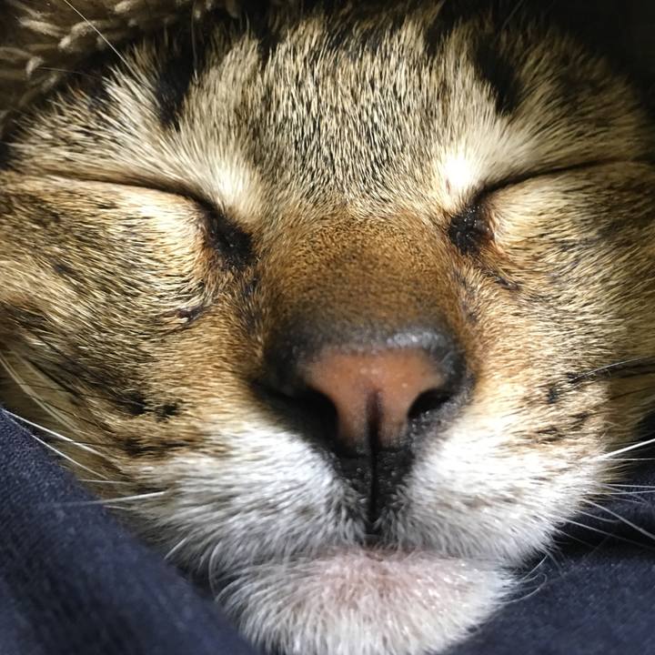 C1234486 9b97 40af 9f0f dcfea082bb8a 1520773928515