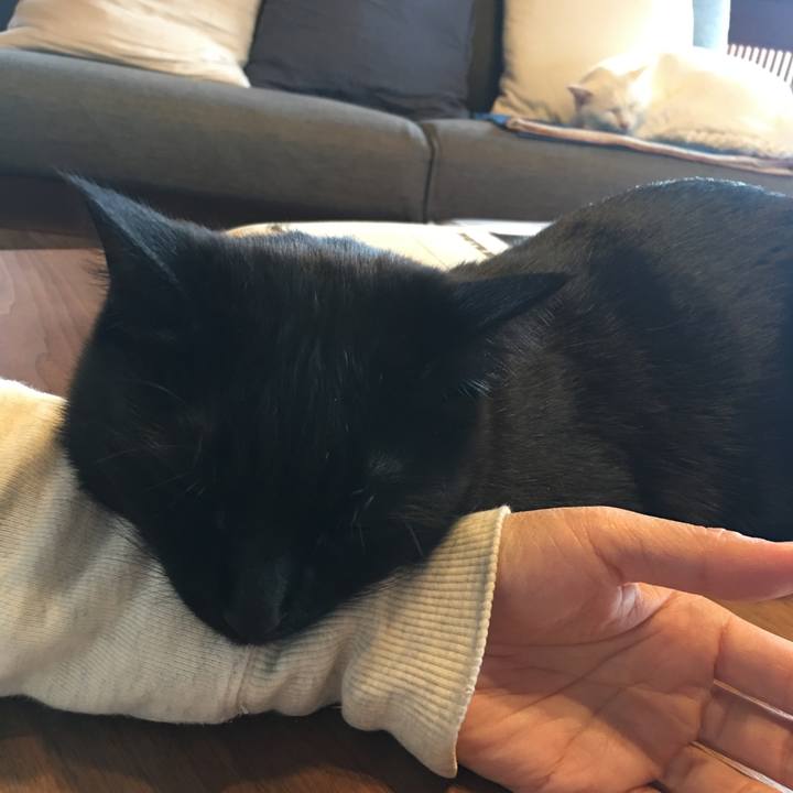 C123897c d971 49ba bfa5 58c148d2605f 1576028356491