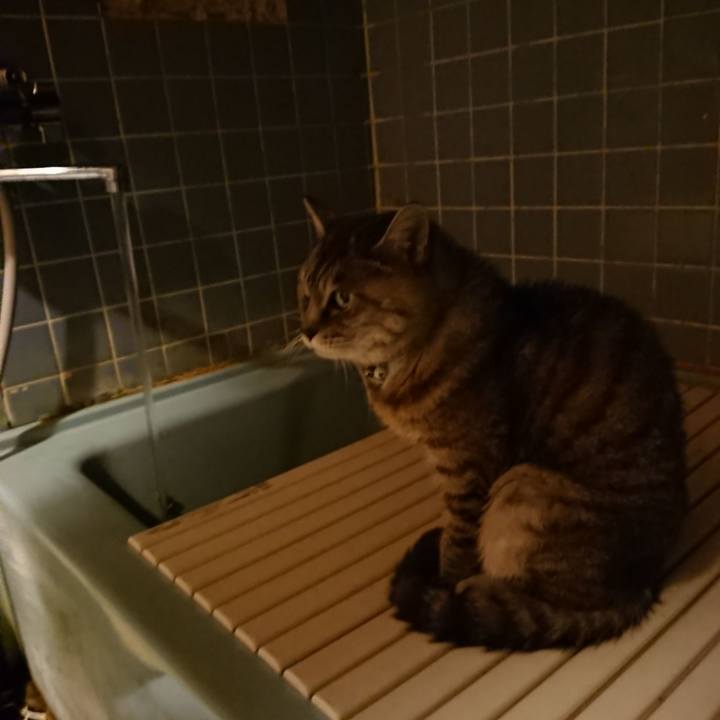 C123a5e5 dc89 42d4 8edb b50c0b31d2c3 1570700774990