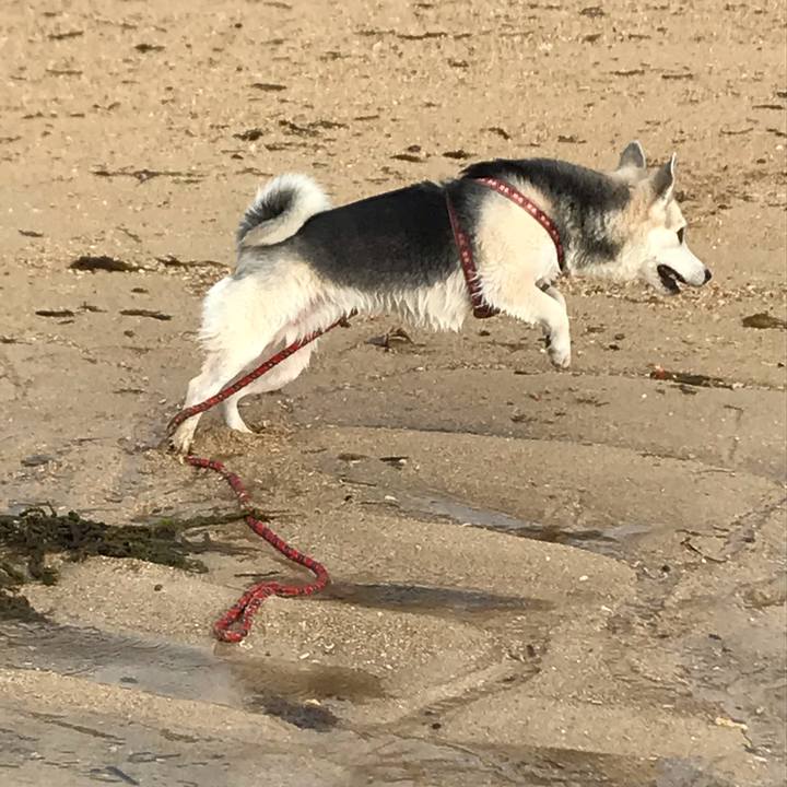 C123ac6f e05b 40a4 bea6 4745bcbcb705 1552821052420