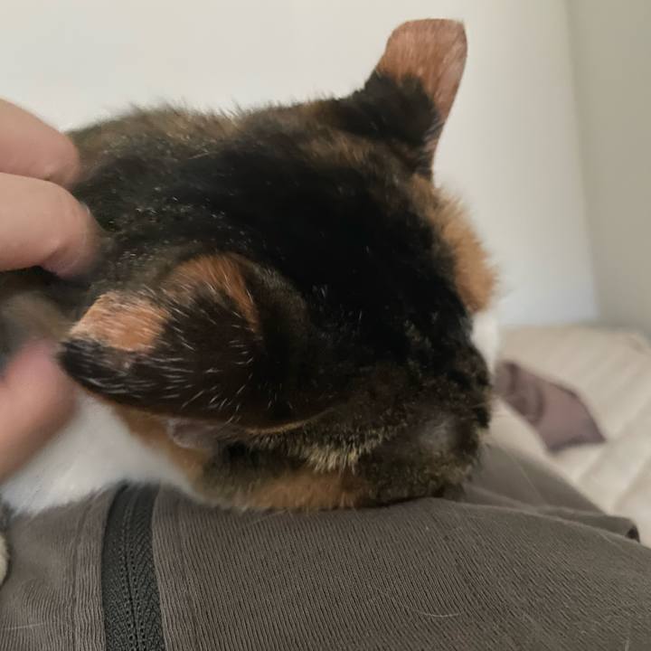 C123c595 55e4 45c6 9bf3 b01891ebc00f 1672270868172