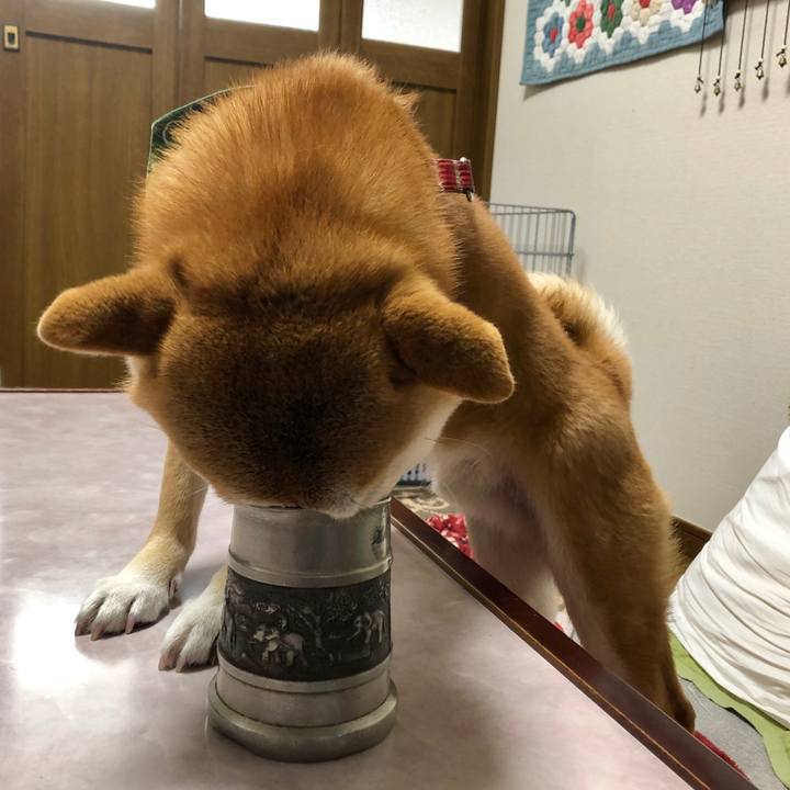 C123cecf b352 4fa1 9b0d 93cdfa7c8a95 1548406188671