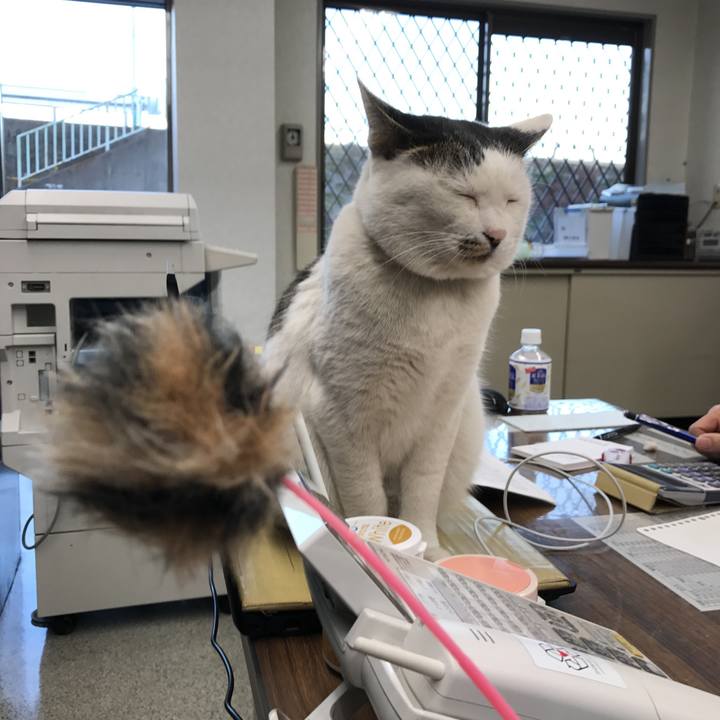 C123f347 0af0 4a10 9f6a 6fb48fddfd5f 1515999648235