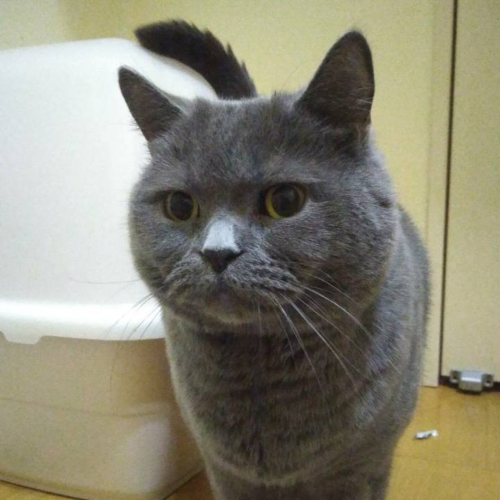 C123f46b bc58 4f89 998f 0c78cb24fa61 1582144266483