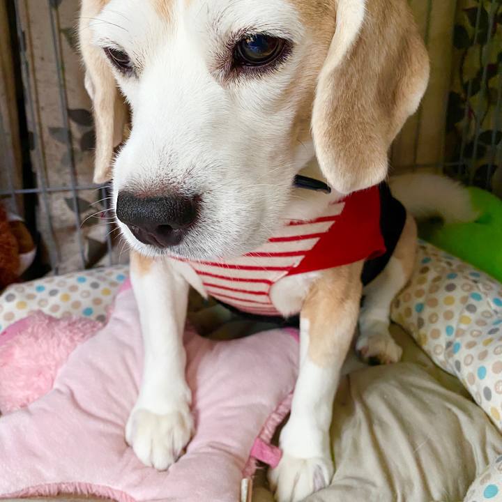 C12417c7 7ab2 4f9d 9910 58b304e0b4c9 1592028814591