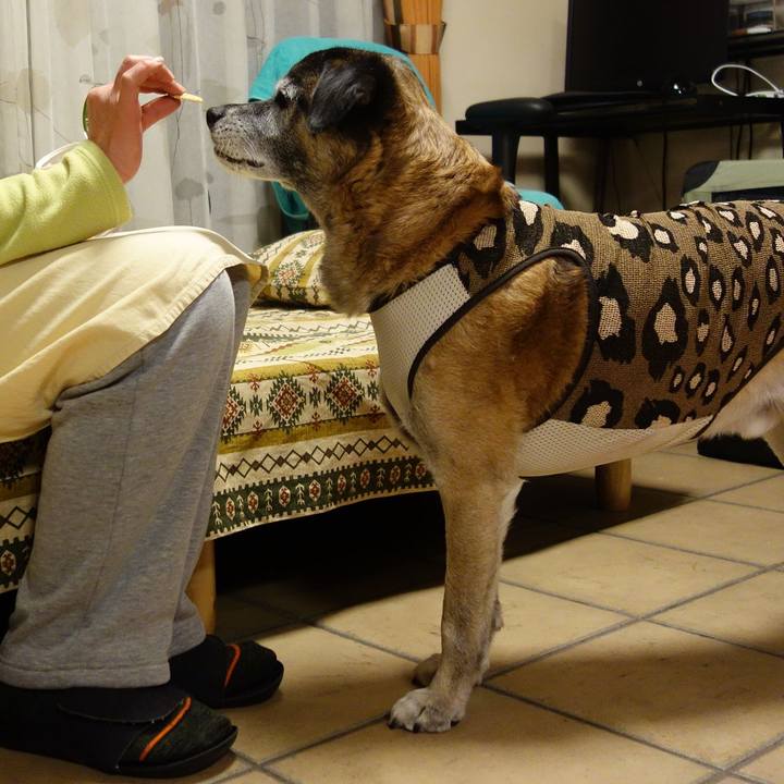 C1242f7c 18c7 4106 a13b 0ce2115841ed 1626913366164