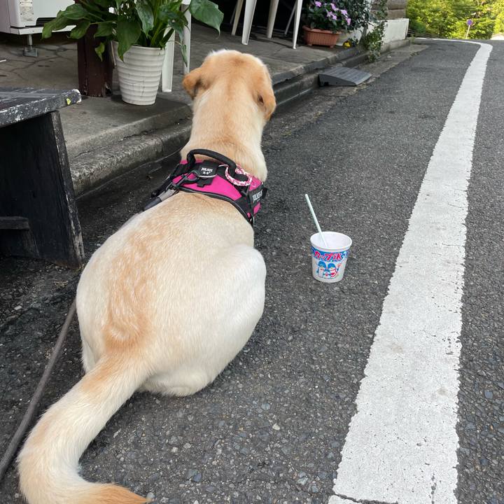 C1243867 db5c 49ab a308 28595db95fb4 1657444666138