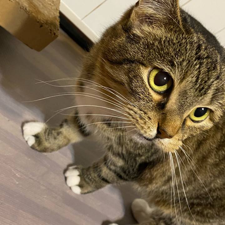 C124499b 3048 4522 a121 7c027dd9ef65 1613312814950