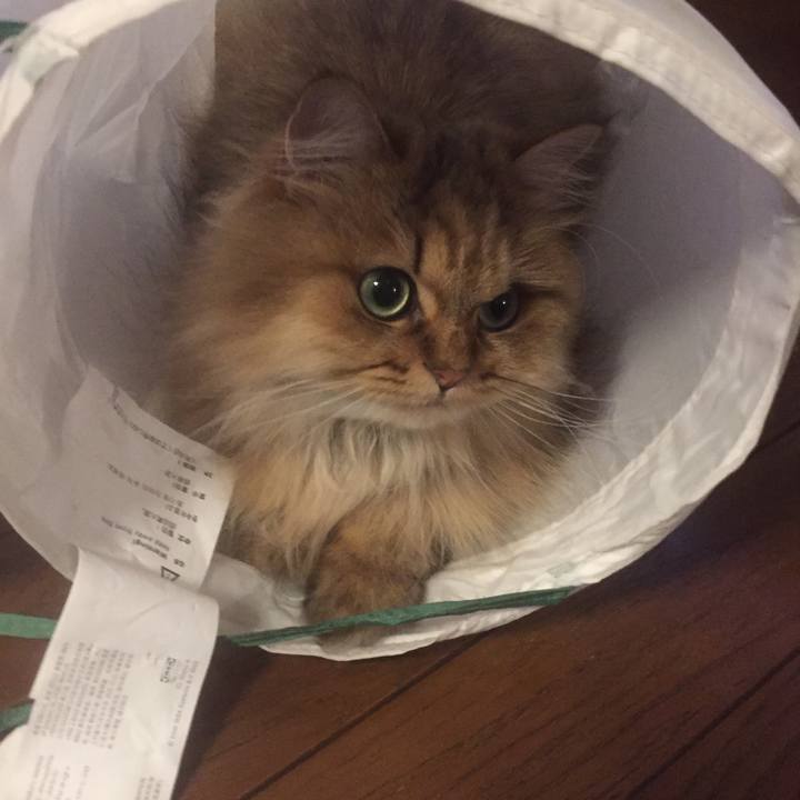 C1244df9 0124 4ba9 90f8 6d2077e94248 1528357843674